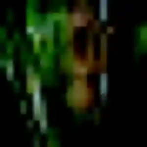 Malika (44 ans) à Dax attend une rencontre ce soir