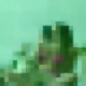 Photo privée de Helena, 23 ans à Deux Rivières - plan discret