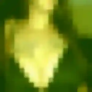 Sexy Mila, 31 ans à Deyme - la contacter