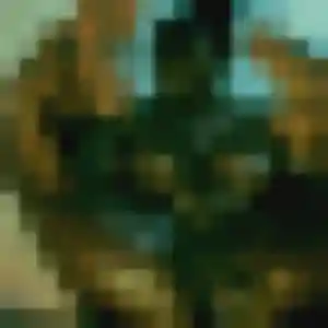 Photo de Alessandra à Diemeringen (22 ans) - plan cul anonyme