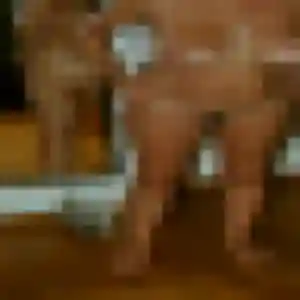 plan cul à Dizy : photo de Paloma, 32 ans - accès libre