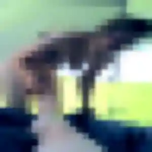 Irina, 33 ans, cherche un plan cul à Dolus-d'Oléron