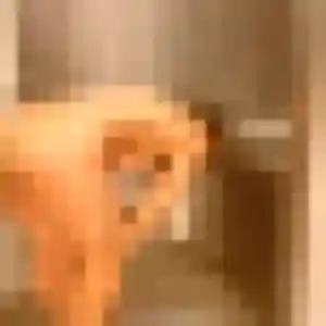 Cindy, 44 ans, disponible à Domart-en-Ponthieu pour une rencontre coquine