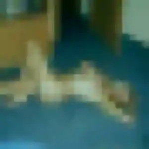 Elise, 35 ans, connectée à Donnemain-Saint-Mamès pour une rencontre coquine