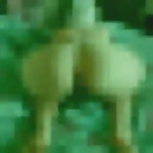Profil de Brigitte à Duhort-Bachen (40 ans) - plan cul discret