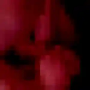 Charmante Honorine, 36 ans à Eecke - la contacter