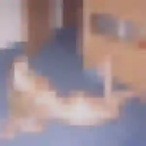 Fatima (39 ans) à Elliant attend un plan cul ce soir