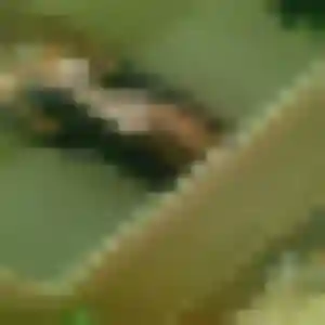 Elise, 30 ans, en ligne à Eschau pour une rencontre coquine