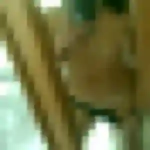 Lina, femme de 34 ans cherche plan cul à Escrennes
