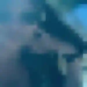 Profil de Daniela à Essert (39 ans) - plan cul sans inscription