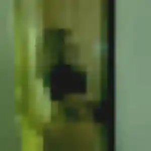 Photo de Veronique à Essouvert (41 ans) - plan cul gratuit