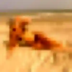Salima, femme de 37 ans veut plan cul à Estillac