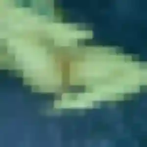Photo de Monique à Étreux (44 ans) - plan cul anonyme