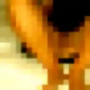 Solene, femme de 26 ans cherche plan cul à Eurville-Bienville