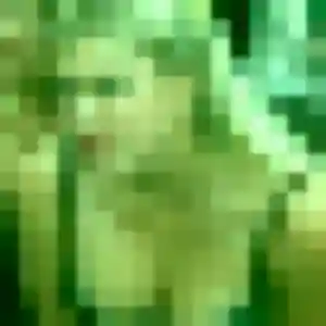 Profil de Daphne à Éveux (23 ans) - plan cul gratuit