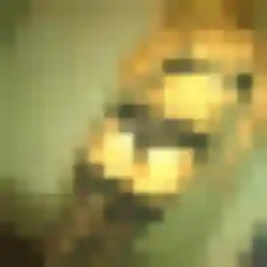 Bertrane, 33 ans, connectée à Faverney pour une rencontre coquine