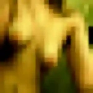 Profil de Ava à Feldkirch (44 ans) - plan cul anonyme