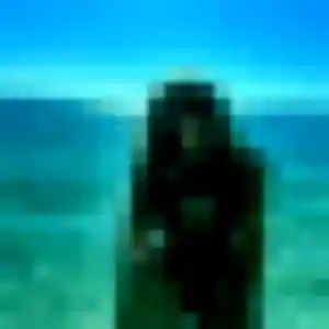Sexy Rachida, 31 ans à Férolles-Attilly - voir sa photo