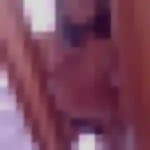 Photo de Romina à Festubert (37 ans) - plan cul discret