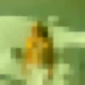 Sexy Sibylle, 45 ans à Flassans-sur-Issole - la contacter