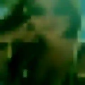 Gaelle, 44 ans, disponible à Fleury-la-Vallée pour une rencontre coquine