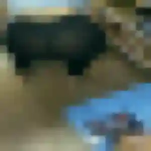 Photo de Clara à Fonsorbes (31 ans) - plan cul anonyme