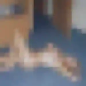 Photo de Xaviere à Fontaine-le-Dun (37 ans) - plan cul anonyme