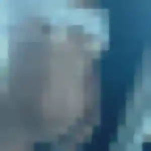 Louisa, femme de 35 ans veut plan cul à Fontanès