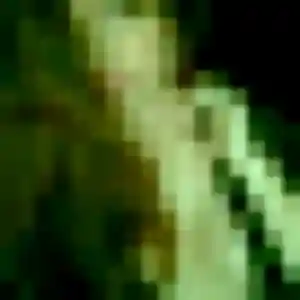 Photo privée de Catherine, 39 ans à Forbach - rencontre coquine