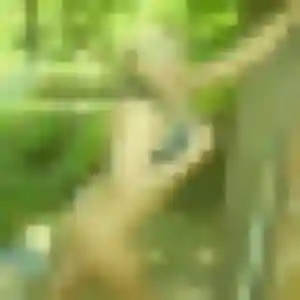 Malika, 43 ans, connectée à Fouilloy pour un plan cul