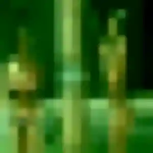 Photo de Raphaelle à Fréjairolles (43 ans) - plan cul gratuit