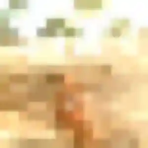 Photo privée de Ximena, 39 ans à Frontenay-Rohan-Rohan - rencontre sans lendemain