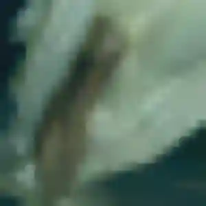 Irina, fille de 33 ans cherche plan cul à Frouzins