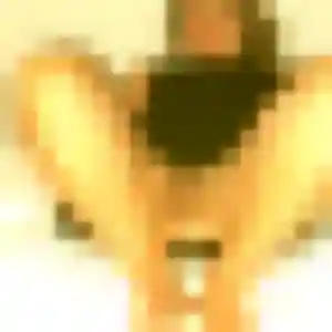 Photo perso de Audrey, 42 ans à Fussy - plan discret
