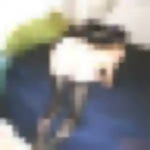 Photo de Zineb à Ganges (30 ans) - plan cul anonyme