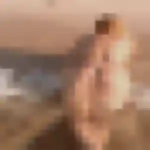 Rejoins Daphne, 39 ans à Gentelles gratuitement