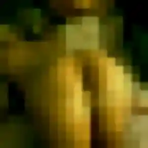 Photo de Oriane à Gestel (29 ans) - plan cul anonyme