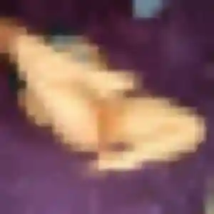 Photo de Zephyrine à Glos-sur-Risle (29 ans) - plan cul sans inscription