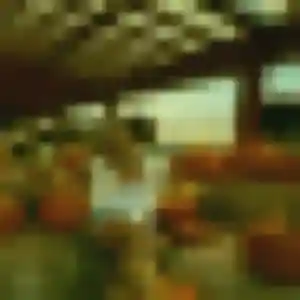 Photo perso de Graziella, 30 ans à Gorges du Tarn Causses - rencontre coquine
