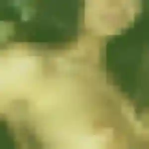 Profil de Wanda à Goxwiller (34 ans) - plan cul discret