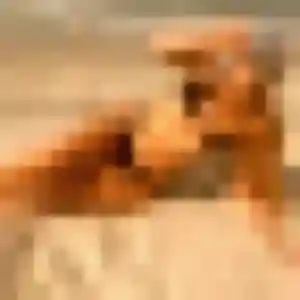 Photo de Dounia à Grand-Couronne (44 ans) - plan cul discret