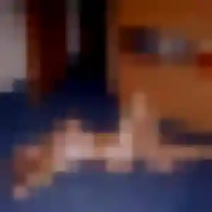 Profil de Doriane à Grazay (35 ans) - plan cul gratuit