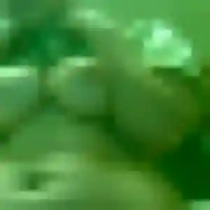 Photo privée de Lilou, 40 ans à Grézillac - rencontre coquine