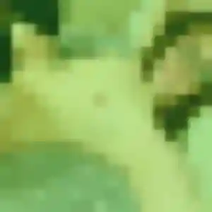 Photo privée de Martine, 44 ans à Groffliers - plan discret