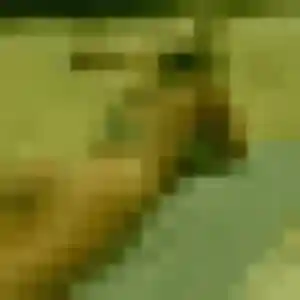 Photo privée de Clara, 28 ans à Groslée-Saint-Benoit - plan discret