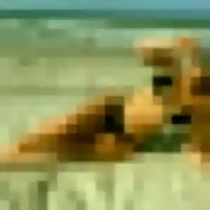 Photo de Marie-Ange à Guénange (38 ans) - plan cul discret