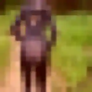 Photo de Gaia à Guénin (27 ans) - plan cul gratuit
