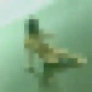Anastasia, 31 ans, connectée à Guessling-Hémering pour une rencontre coquine