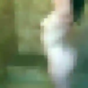 Ines (33 ans) à Haillicourt cherche un plan cul ce soir