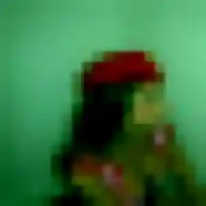 Profil de Charline à Harol (22 ans) - plan cul sans inscription